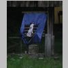 05_Der gerupfte Vogel vor dem letzten Schuss.jpg